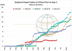 Bean exports to China