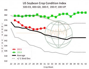 soybean condition